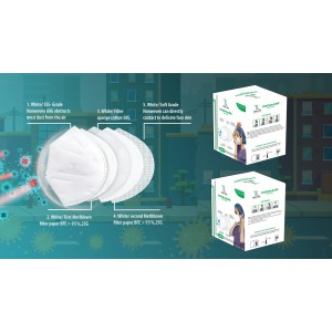 Khẩu trang N95 PROMASK - Hộp 20 cái