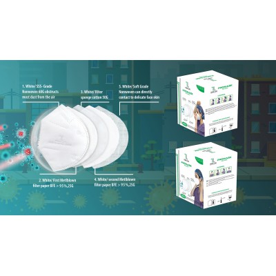 Khẩu trang N95 PROMASK - Hộp 20 cái